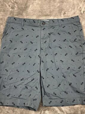 Hudson & Barrow pineapple Printed Flat Front Shorts Men's Size 38 blue casual